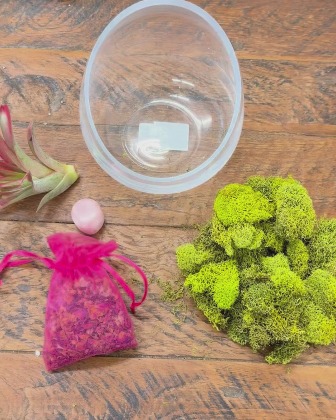 Love and Compassion Terrarium with Air Plant