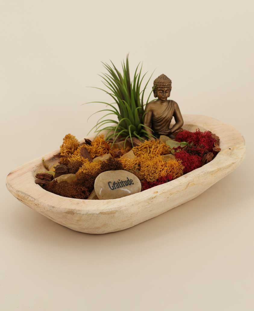 Gratitude Buddha Moss Terrarium