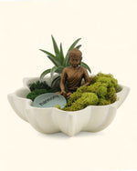 Harmony Zen Lotus Terrarium