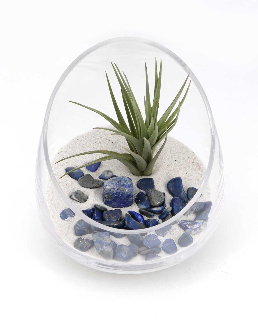 Lapis Gemstone Terrarium