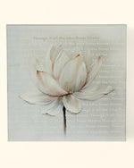 Pastel Lotus Bloom Canvas Print