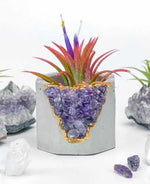 Gemstone Concrete Plant Holder