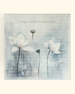 Tranquil Lotus Canvas Print