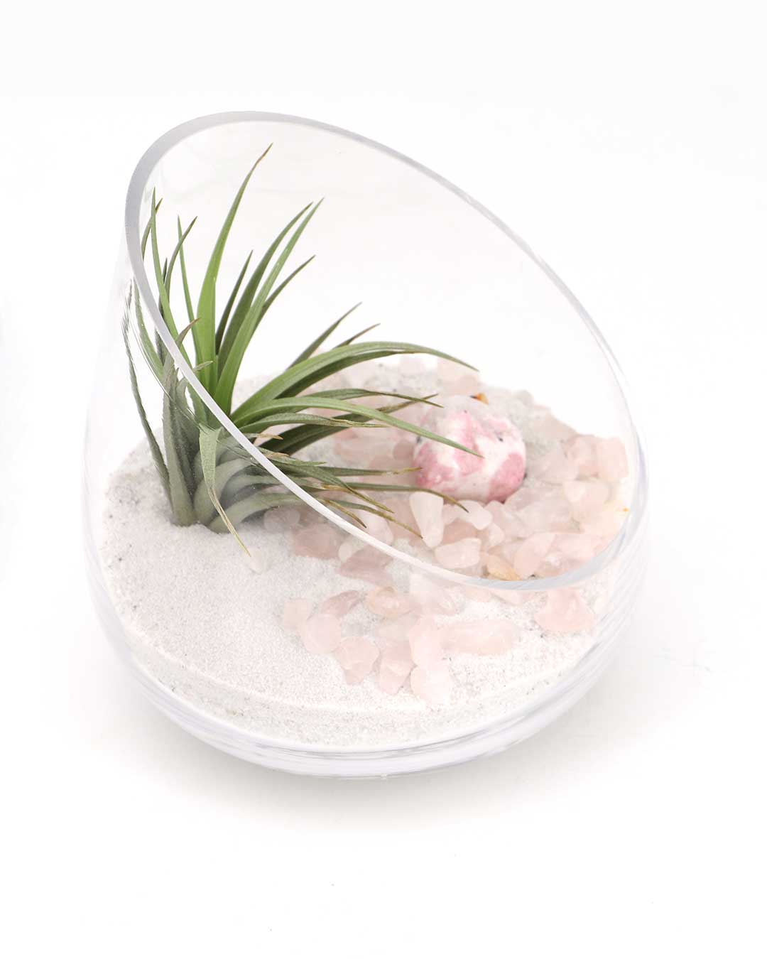 Rose Quartz and Rhodonite Gemstone Crystal Terrarium - Terrarium