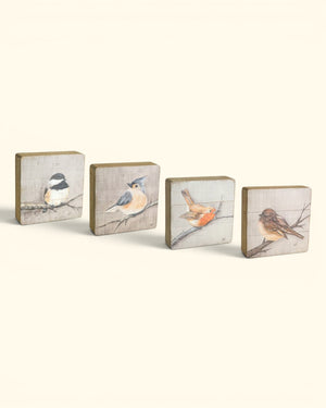 Four rustic wood bird plaques in a row showing chickadee, tufted titmouse, robin, and sparrow printed on whitewashed wood
