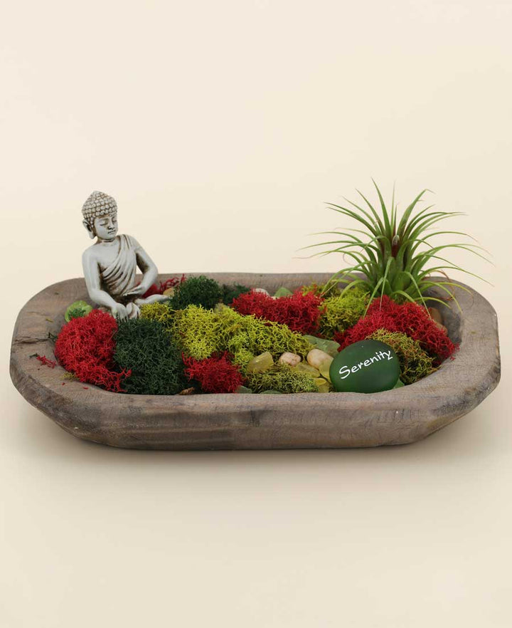 Serenity Garden Buddha Terrarium - Ecospheres