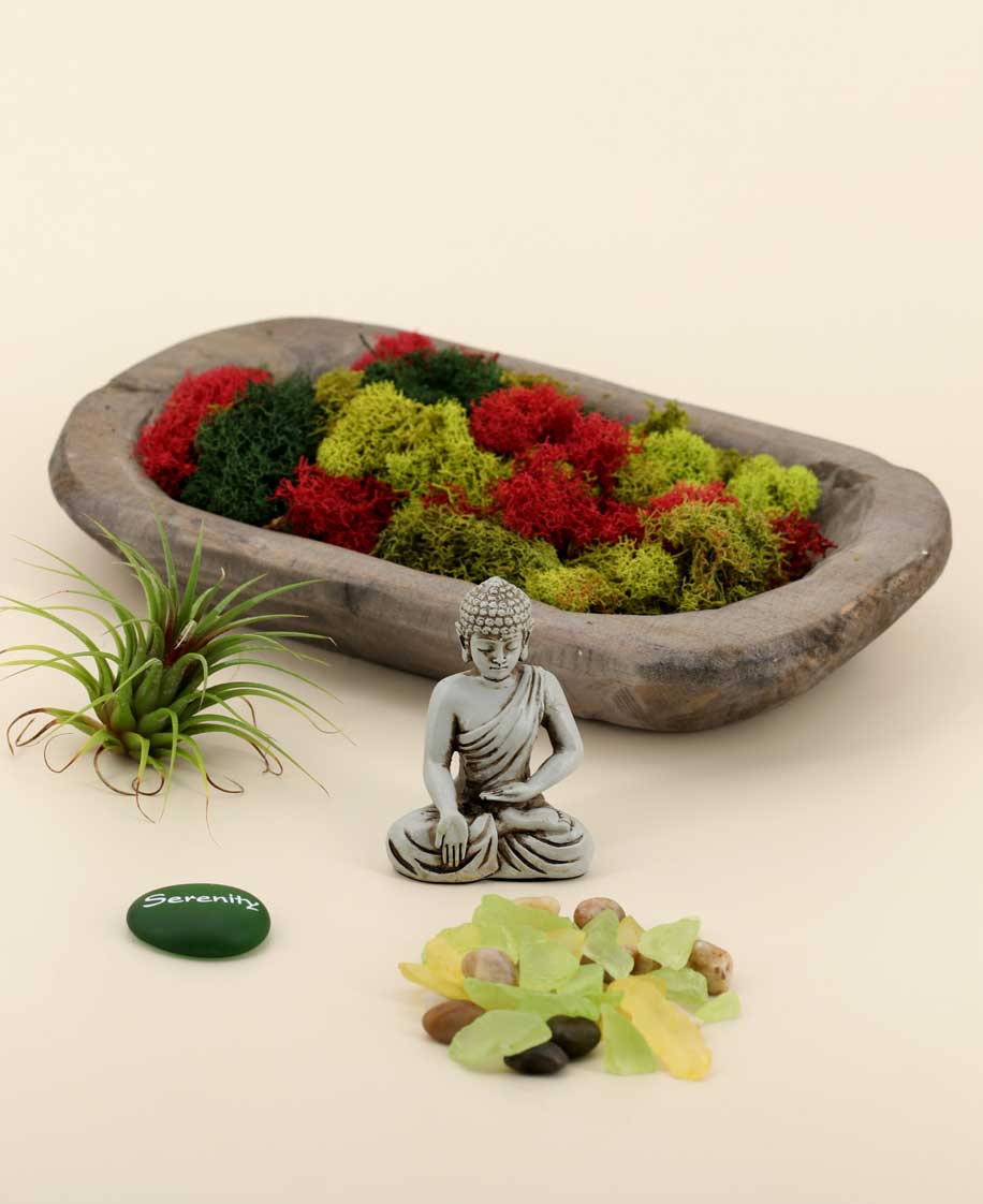 Serenity Garden Buddha Terrarium - Ecospheres