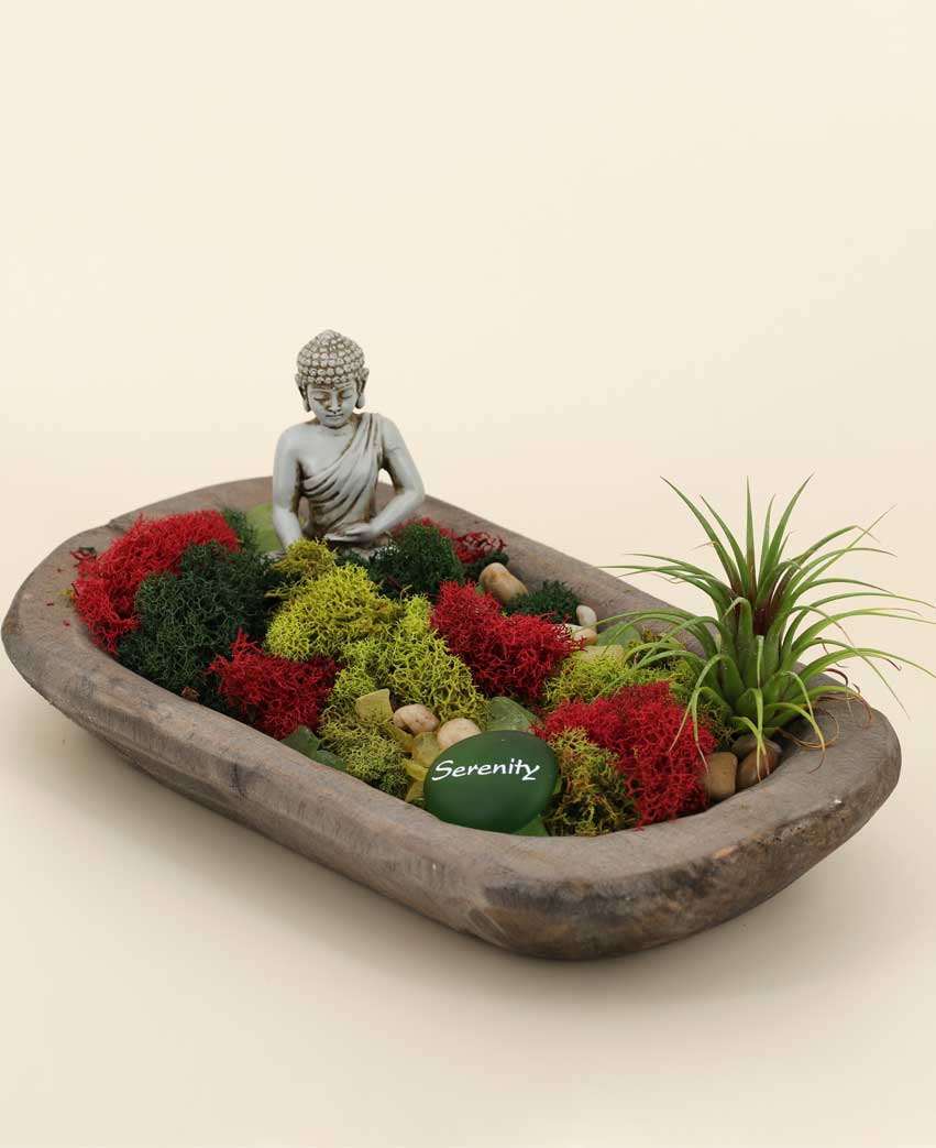 Serenity Garden Buddha Terrarium - Ecospheres