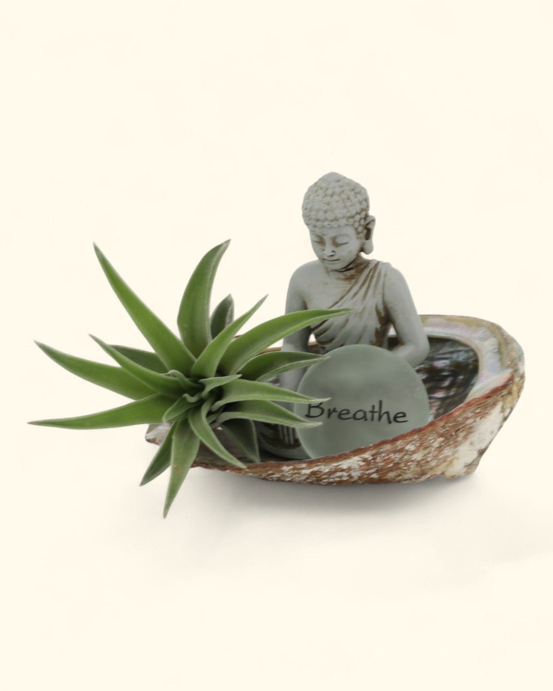 Small Abalone Shell Zen Buddha Terrarium - Ecospheres