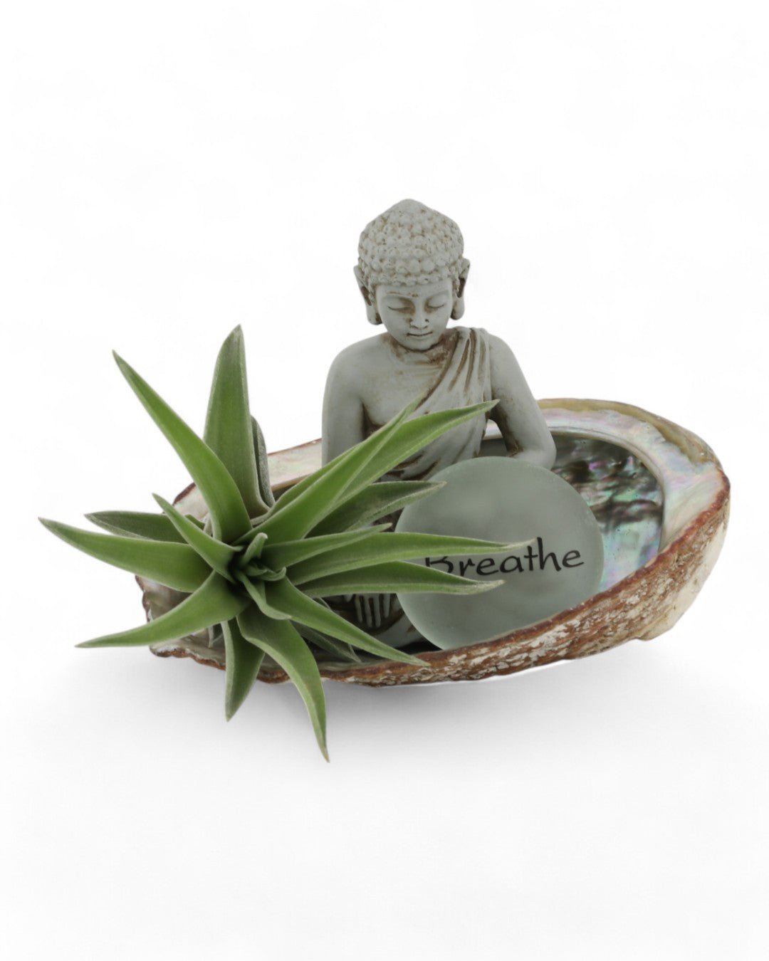 Small Abalone Shell Zen Buddha Terrarium - Ecospheres