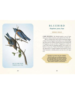 Spiritual Meaning of Birds Oracle - 50 - Card Nature Wisdom Deck by Arin Murphy - Hiscock - Books