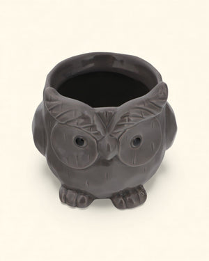 Whimsical Ceramic Animal Planters – Snail, Duck, Elephant, Dog, Sheep, or Owl (Assorted Sizes) - Pots & Planters Owl