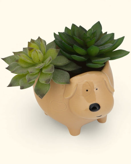 Whimsical Ceramic Animal Planters – Snail, Duck, Elephant, Dog, Sheep, or Owl (Assorted Sizes) - Pots & Planters Owl