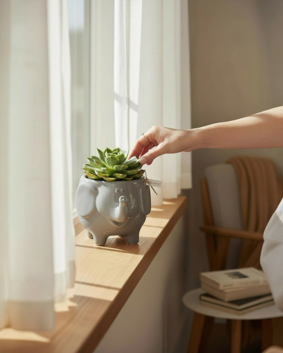 Whimsical Ceramic Animal Planters – Snail, Duck, Elephant, Dog, Sheep, or Owl (Assorted Sizes) - Pots & Planters Owl