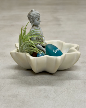 Overhead angle of Zen Buddha terrarium showing lotus bowl with seated Buddha figure, teal Serenity stone, and live air plant