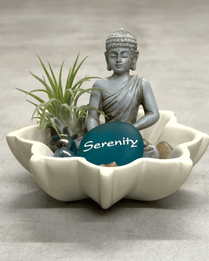 Zen Buddha Terrarium with Lotus Soapstone Bowl & Live Air Plant - Home Decor