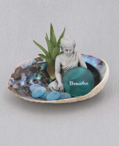 Abalone Shell Zen Buddha Terrarium - Ecospheres Breathe