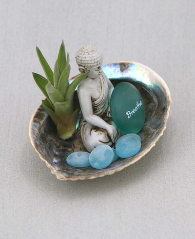 Abalone Shell Zen Buddha Terrarium - Ecospheres Serenity