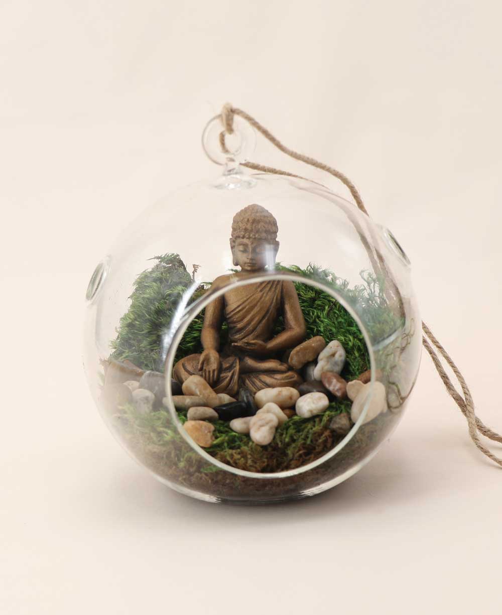 Buddha Globe Hanging Terrarium - Ecospheres