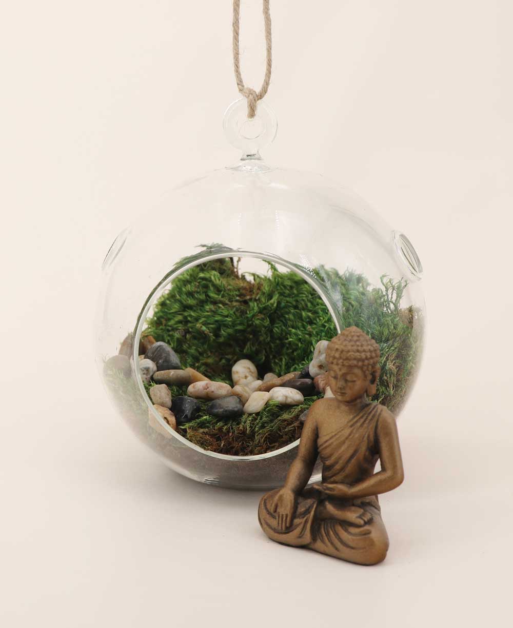 Buddha Globe Hanging Terrarium - Ecospheres