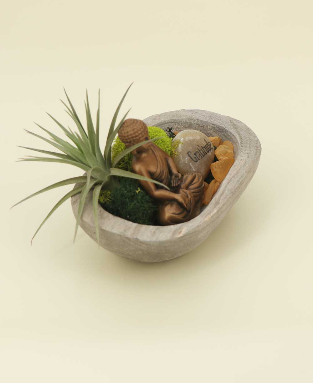 Five Color Moss Gratitude Buddha Terrarium