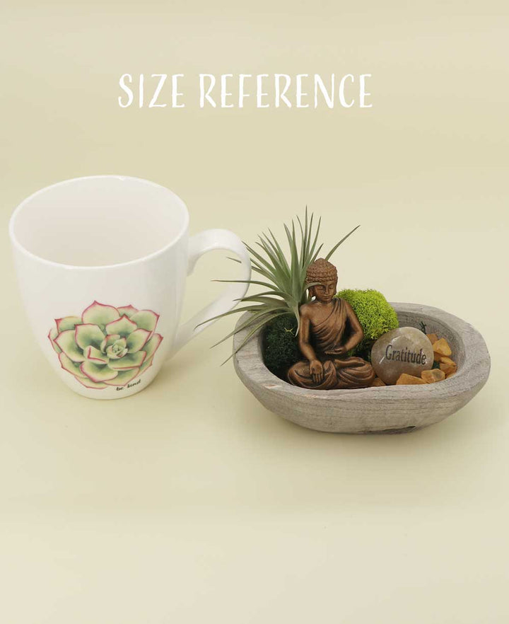 Buddha Gratitude Small Zen Terrarium - Ecospheres