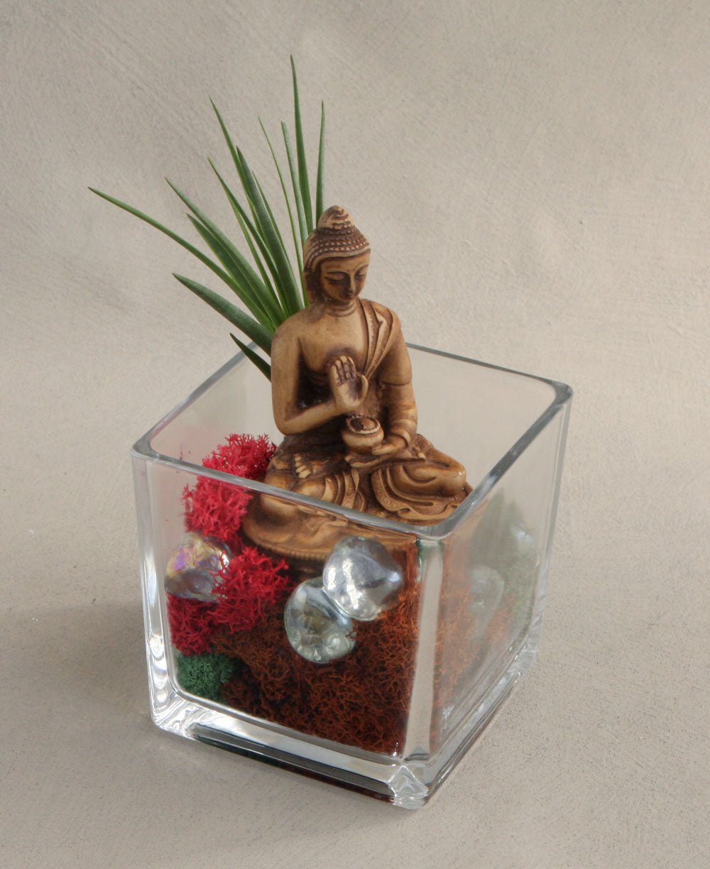 Buddha Living Terrarium -
