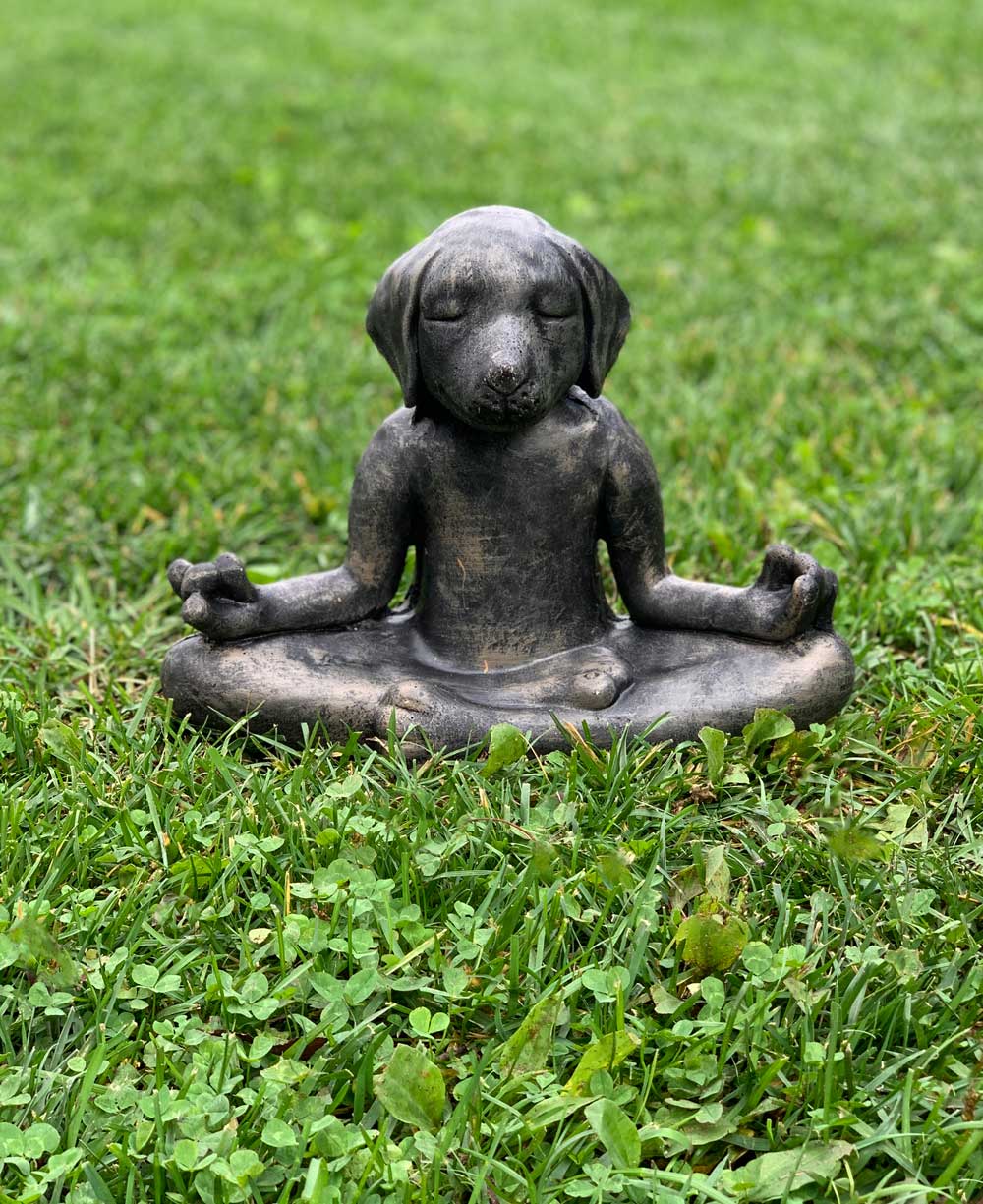 Cast Stone Meditating Zen Yoga Dog Statue USA Made - Sculptures & Statues