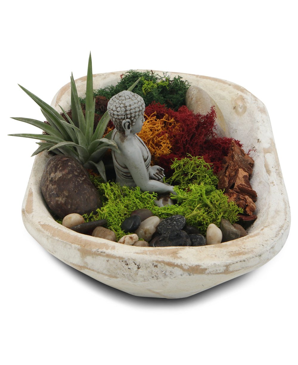 Five Color Moss Gratitude Buddha Terrarium - Terrarium