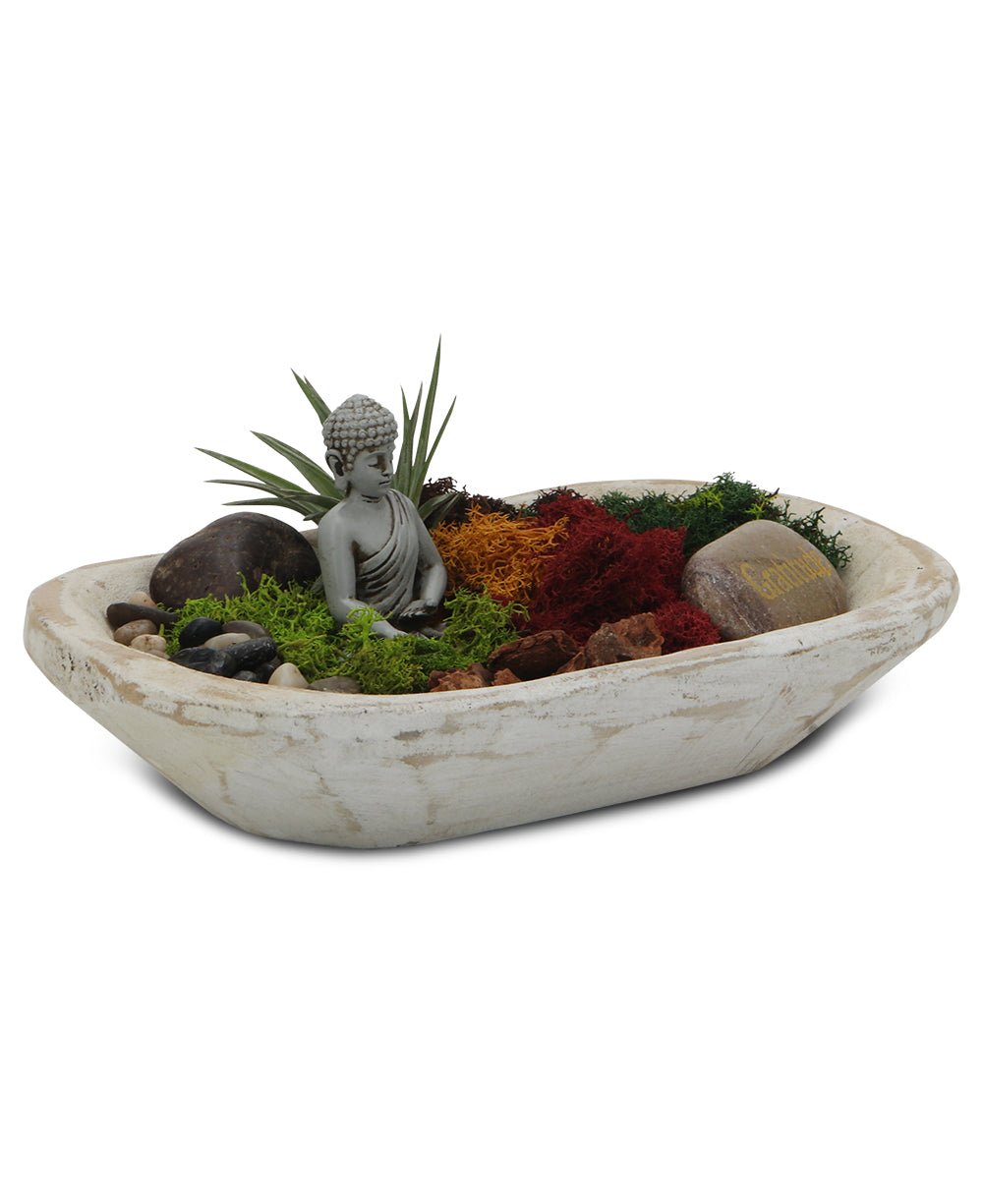 Five Color Moss Gratitude Buddha Terrarium - Terrarium