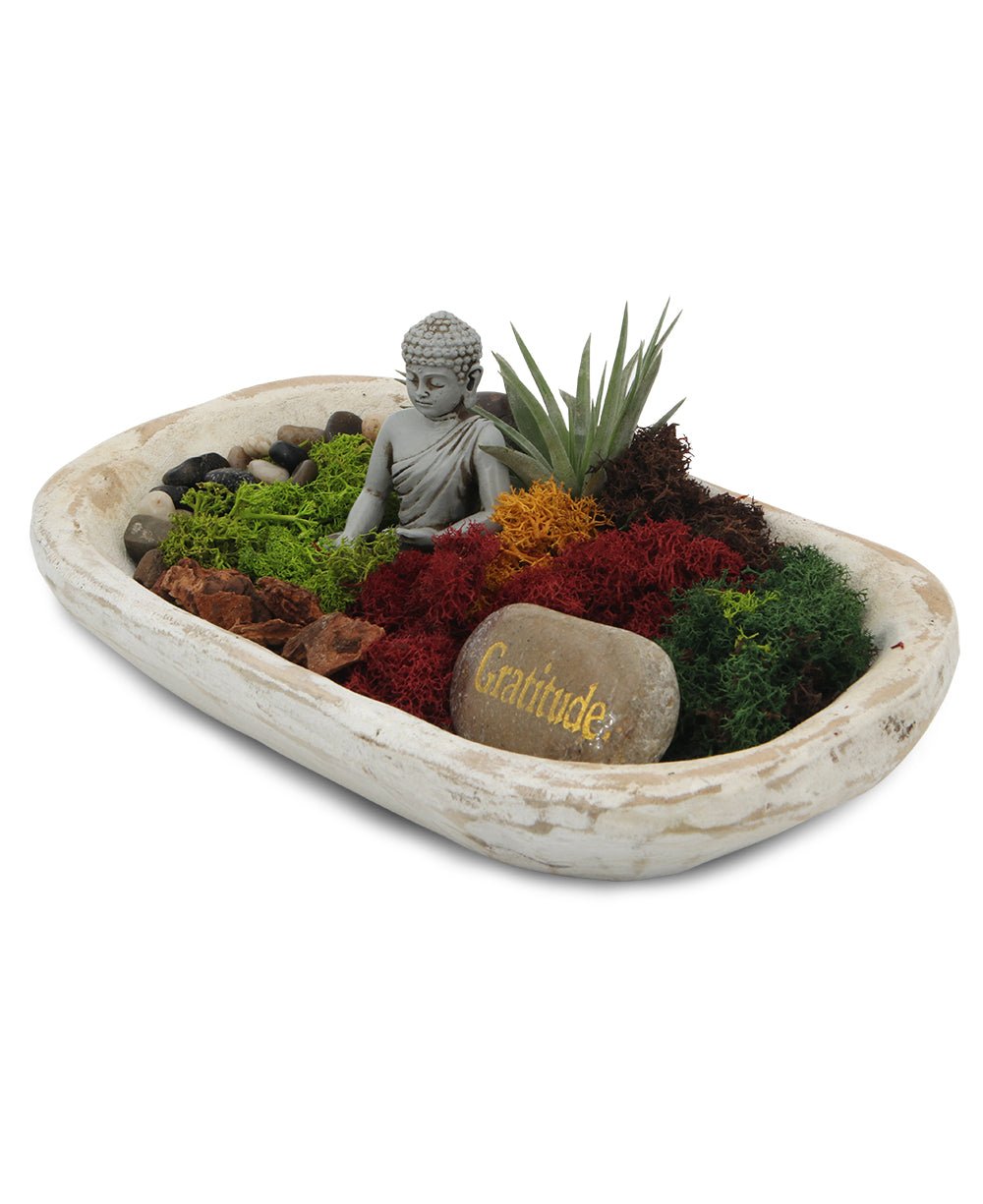 Five Color Moss Gratitude Buddha Terrarium - Terrarium