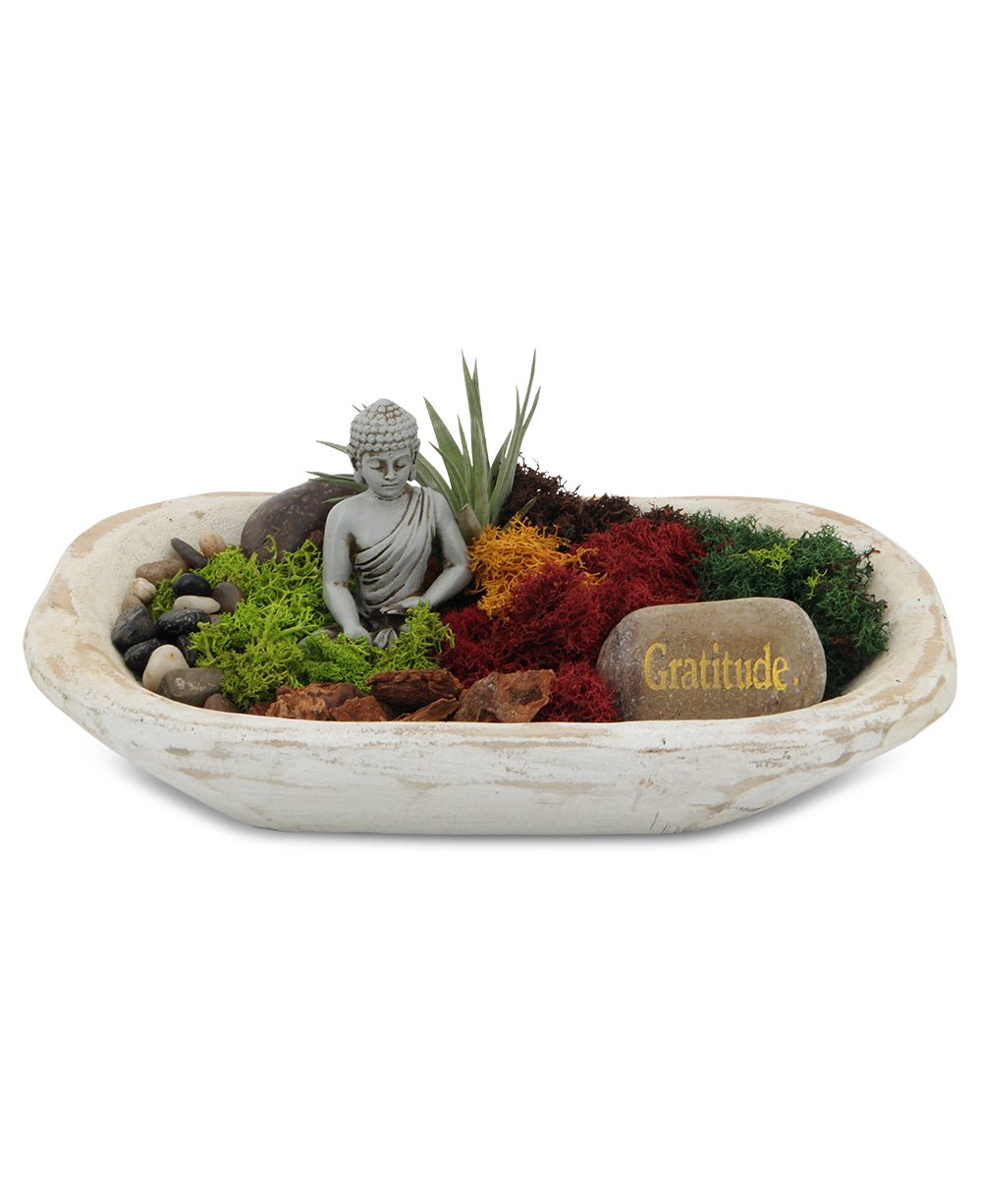 フラワー・ガーデニング Plants of Gods Terrarium Sculpture Plants of Gods Terrarium Sculpture 【公式通販】