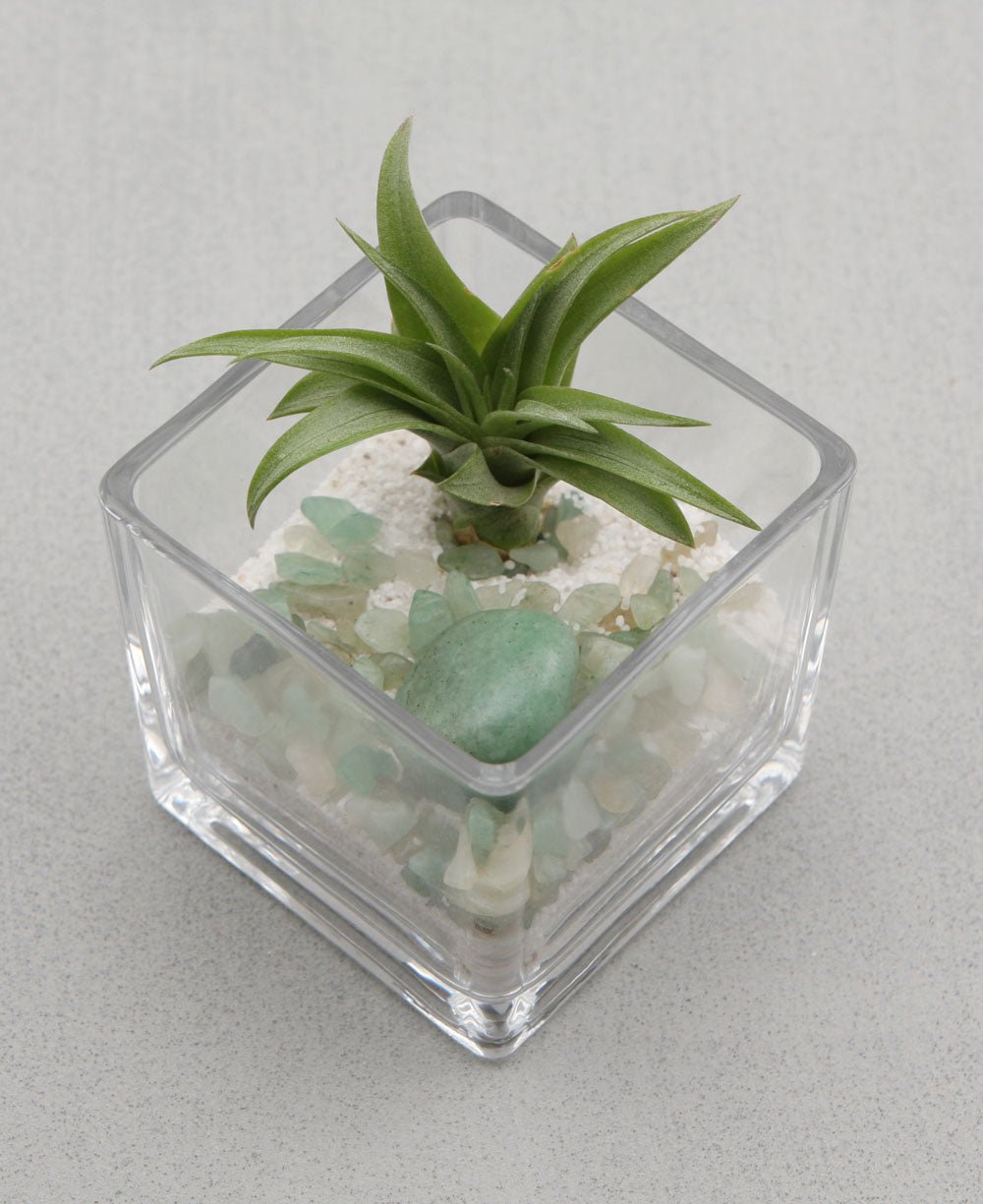 Gemstone Intention Terrarium with Air Plant - Love