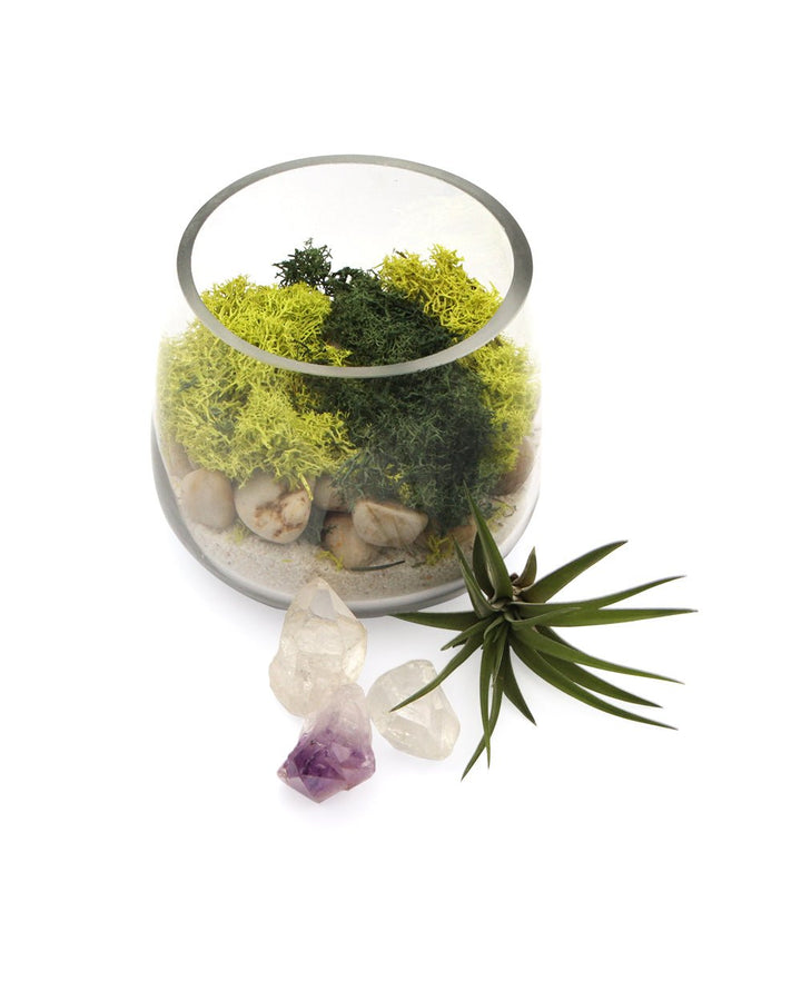 Healing Gemstone Terrarium with Clear Quartz and Amethyst -