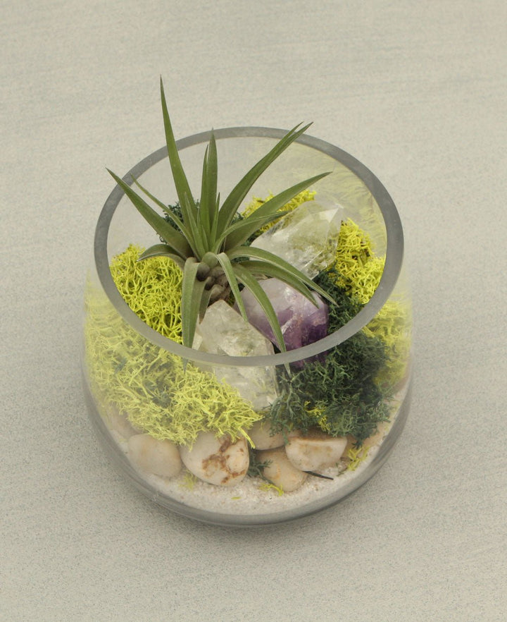 Healing Gemstone Terrarium with Clear Quartz and Amethyst -