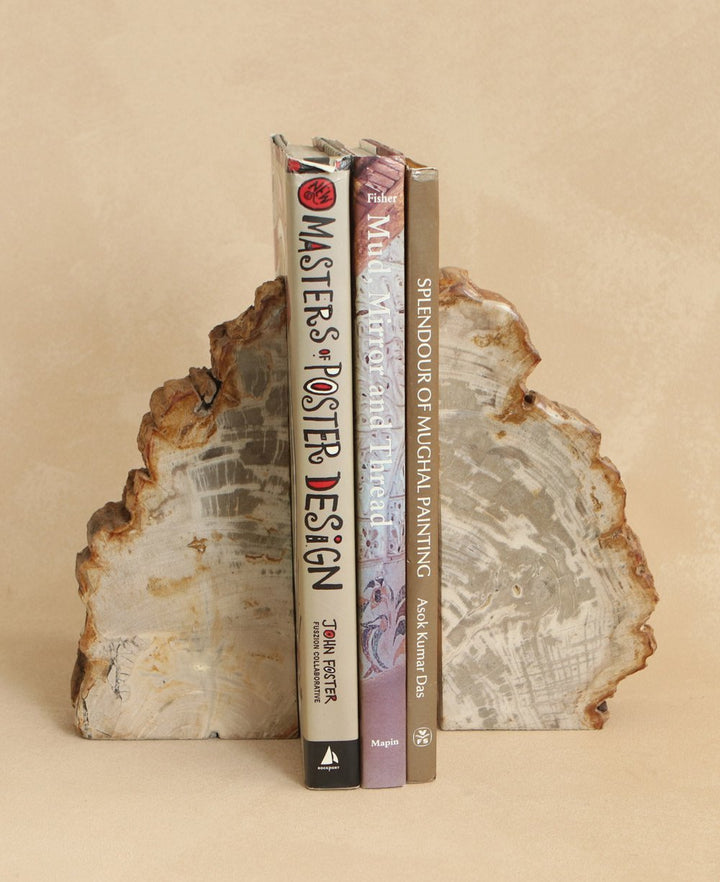 Petrified Wood Bookends in White - Bookends