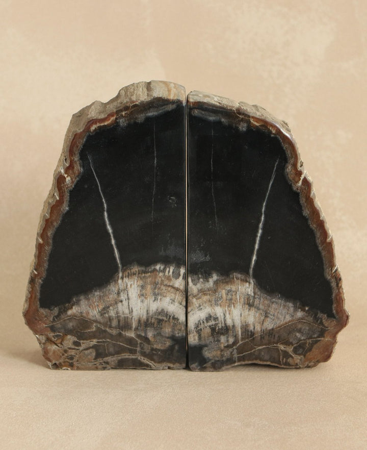 Petrified Wood Bookends, Mixed Black and White - Bookends