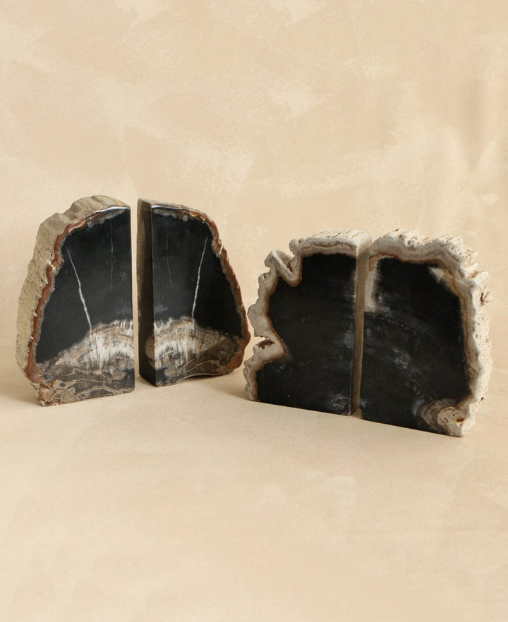 Petrified Wood Bookends, Mixed Black and White - Bookends