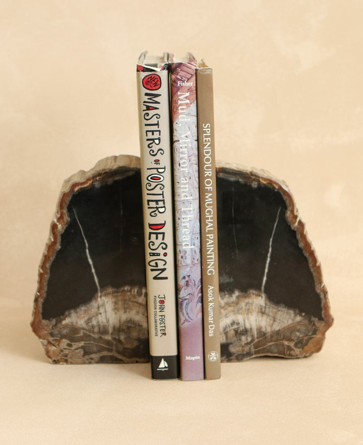 Petrified Wood Bookends, Mixed Black and White - Bookends