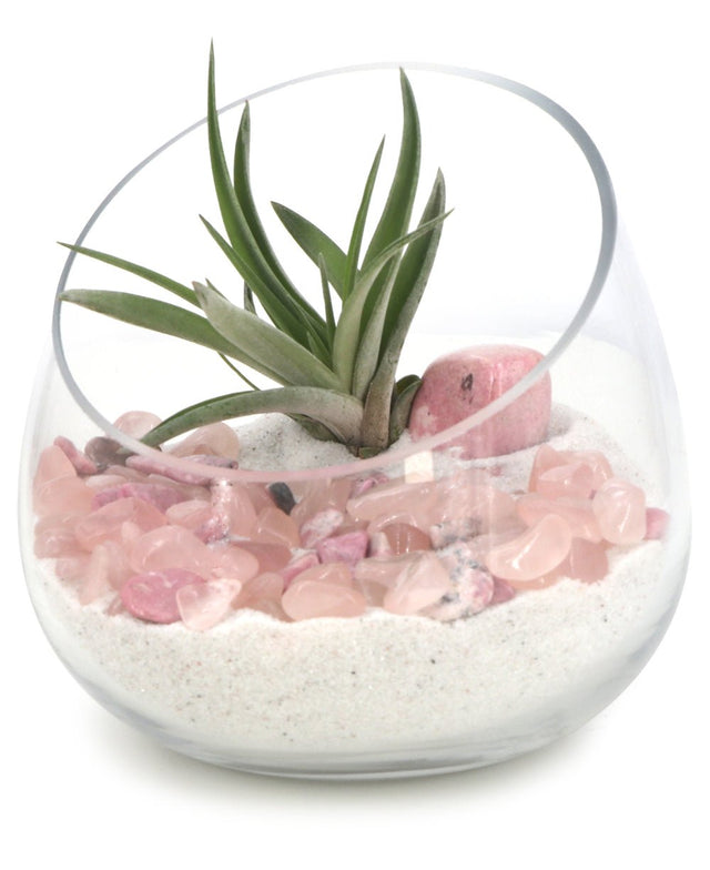 Rose Quartz And Rhodonite Healing Love Terrarium with Air Plant - Ecospheres