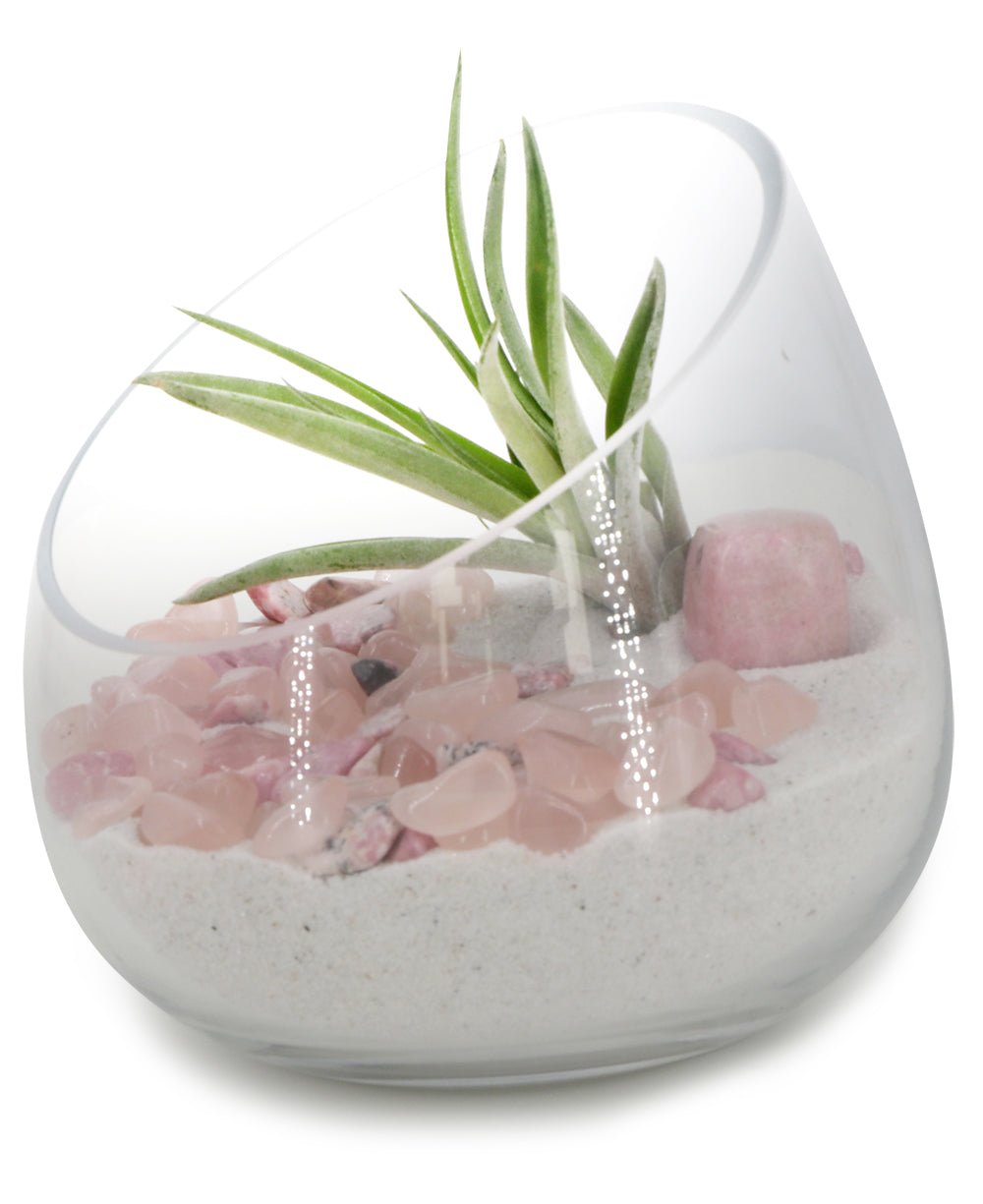 Rose Quartz And Rhodonite Healing Love Terrarium with Air Plant - Ecospheres