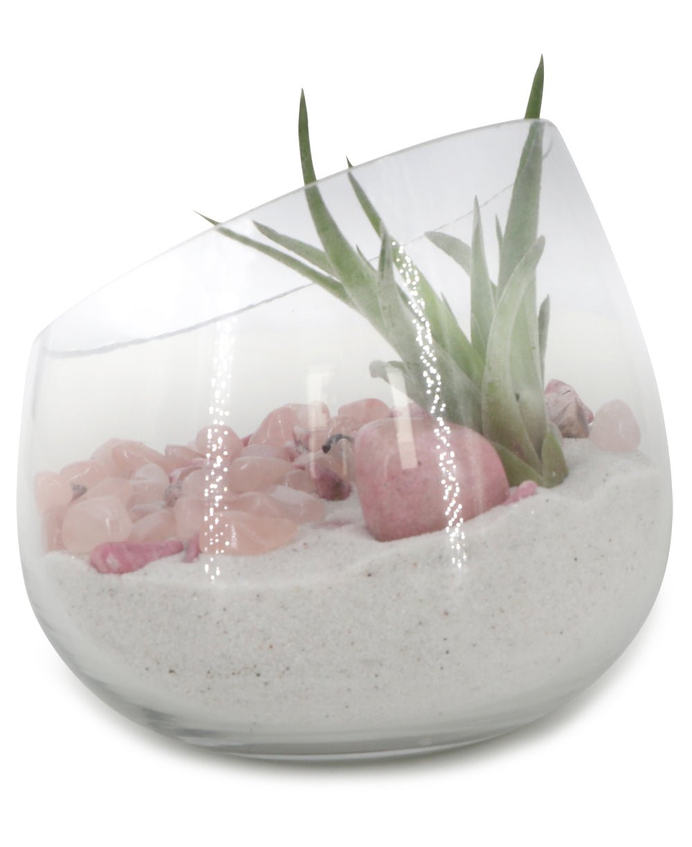 Rose Quartz And Rhodonite Healing Love Terrarium with Air Plant - Ecospheres