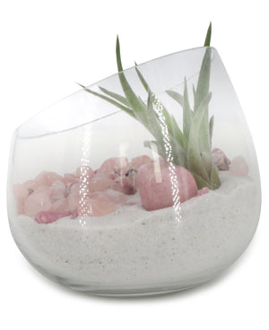 Rose Quartz And Rhodonite Healing Love Terrarium with Air Plant - Ecospheres